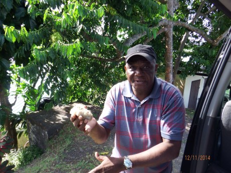 DSCF6032.JPG